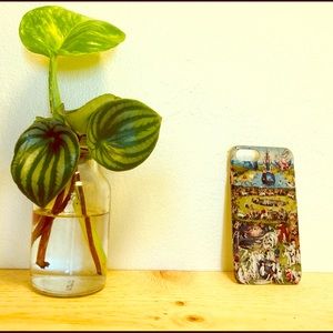 iPhone 2020 SE Phone Case